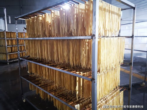 食品行業蒸汽節能案例分享 腐竹廠蒸汽診斷