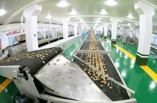 金正恩視察平壤食品工廠 夸贊國產(chǎn)設(shè)備像美男子