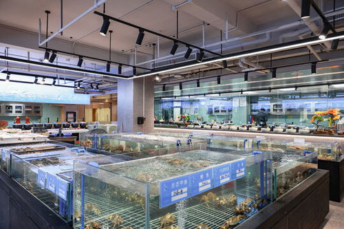 五星級酒店自助餐區(qū)圖片素材下載 食品餐飲素材下的中國菜系圖片素材