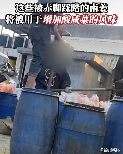 腌菜廠再現(xiàn)腳踩腌菜,食品安全問題頻發(fā),只在315這天才曝光